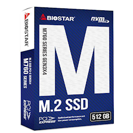 მყარი დისკი Biostar M760-512GB, 512GB, Hard Drive